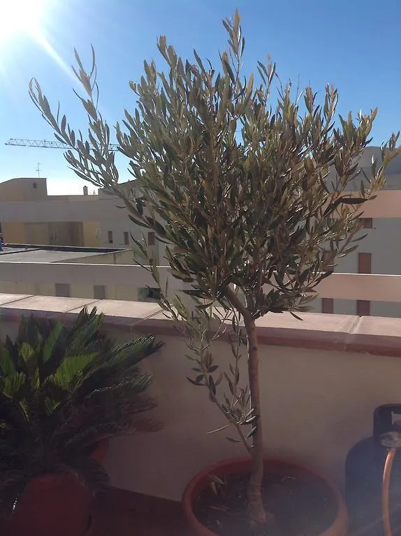 VillaMarì Apartment Alghero